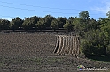 VBS_5268 - La solita strada... il grano da crescere, i campi da arare...